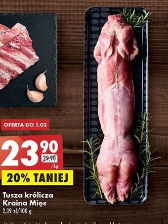 Biedronka Tusza z królika kraina mięs oferta