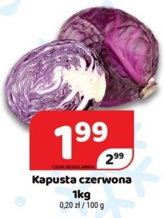 Delfin Kapusta czerwona 1kg oferta