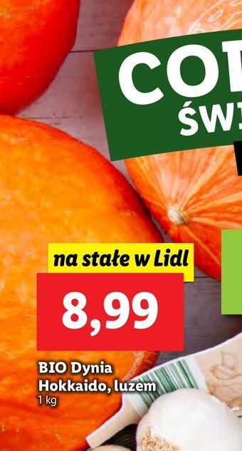Lidl Dynia hokkaido oferta