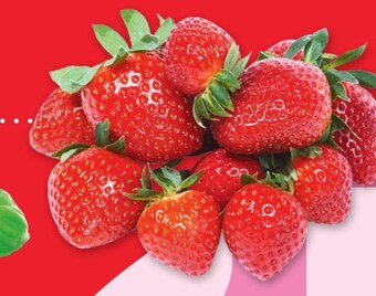 Selgros Truskawki oferta