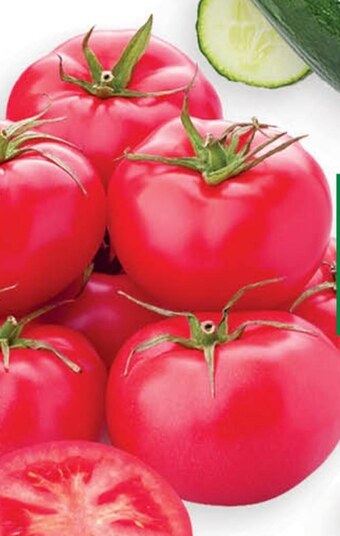 Spar Pomidory oferta