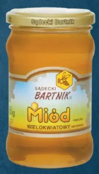 Słoneczko Miód bartnik oferta