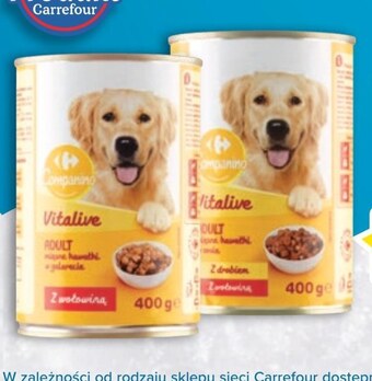 Carrefour Karma dla psa carrefour oferta
