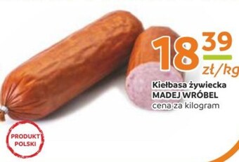 Gama Kiełbasa madej wróbel oferta