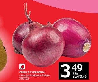 Selgros Cebula oferta