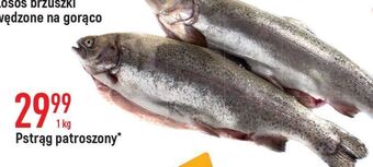 E.Leclerc Pstrąg patroszony oferta
