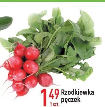 E.Leclerc Rzodkiewka oferta