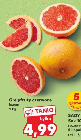 Grapefruit czerwony