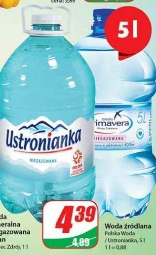 Dino Woda niegazowana primavera oferta