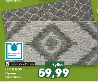 Kaufland Dywan 75 x 150 cm liv & bo oferta