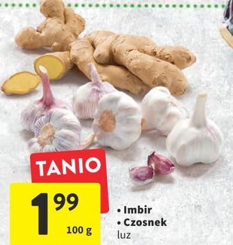 Intermarche Czosnek oferta