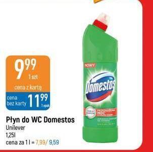 E.Leclerc Płyn do wc pine domestos oferta