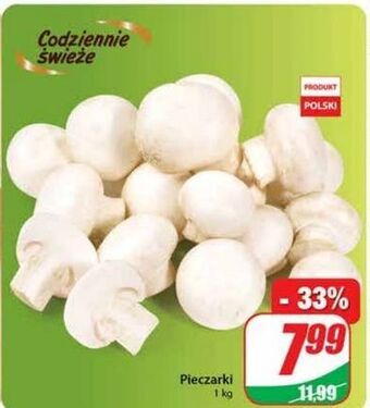 Dino Pieczarki oferta