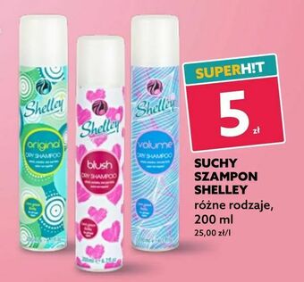 Dealz Suchy szampon shelley oferta