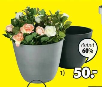 JYSK Donica ogrodowa hveps oferta