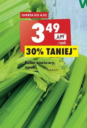 Biedronka Seler naciowy oferta