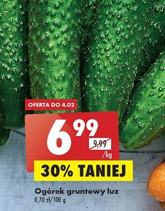 Biedronka Ogórki gruntowe oferta