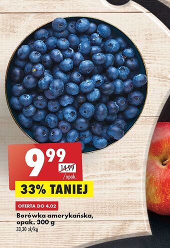 Biedronka Borówki amerykańskie oferta