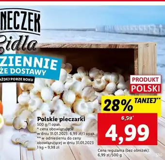 Lidl Pieczarki ryneczek lidla oferta