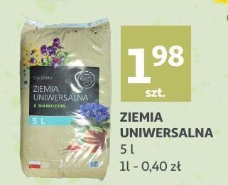 Auchan Ziemia uniwersalna oferta