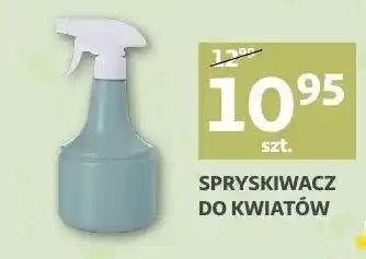 Auchan Spryskiwacz do kwiatów oferta