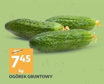 Auchan Ogórki gruntowe oferta