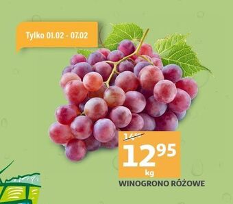 Auchan Winogrona różowe oferta