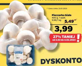 Netto Pieczarka biała oferta
