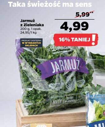 Netto Jarmuż z zieleniaka oferta