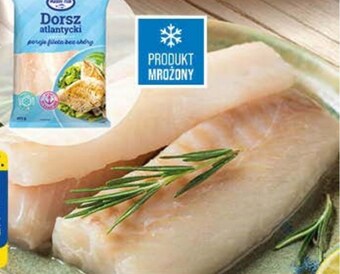 Polomarket Dorsz master fish oferta