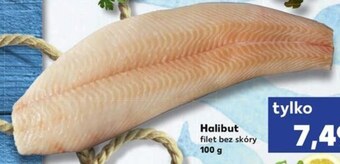 Halibut