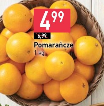 Stokrotka Pomarańcza oferta
