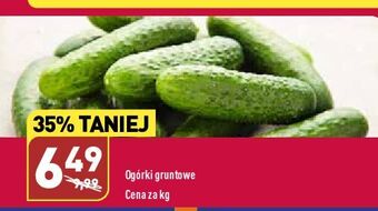 ALDI Ogórki gruntowe oferta