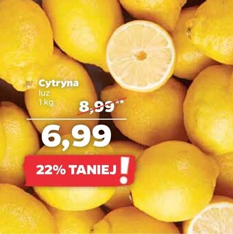 Netto Cytryna oferta