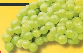 Netto Winogrona oferta