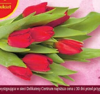 Bukiet tulipanów