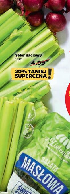 Netto Seler naciowy oferta
