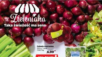 Netto Cebula czerwona oferta