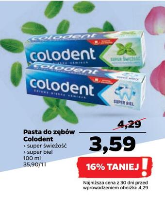 Netto Pasta do zębów colodent oferta