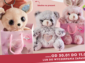 Biedronka Pluszak oferta