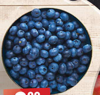 Biedronka Borówka amerykańska oferta