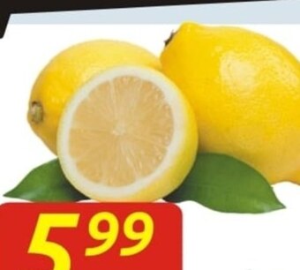 Społem Cytryna oferta