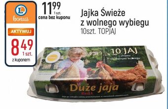 E.Leclerc Jaja z wolnego wybiegu kl. l top jaj oferta
