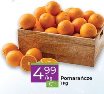 Stokrotka Pomarańcze 1kg oferta