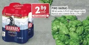 Stokrotka Harnaś Piwo 500ml oferta