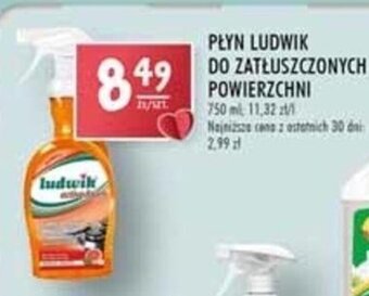 Stokrotka Grupa Inco Płyn Ludwik do zatłuszczonych powierzchni 750ml oferta
