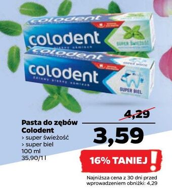 Netto Pasta do zębów colodent super świeżość oferta