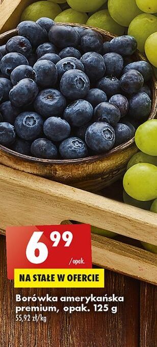 Biedronka Borówka amerykańska oferta