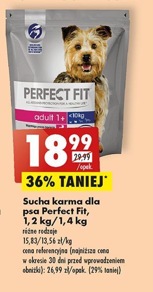 Biedronka Karma dla psa adult 1+ perfect fit oferta