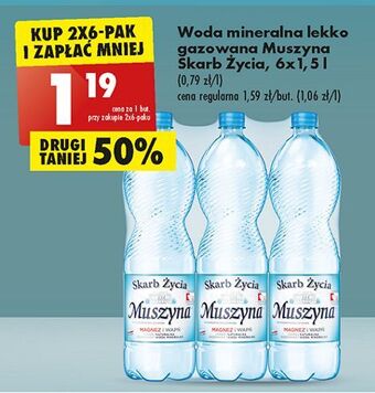 Biedronka Woda lekko gazowana muszyna skarb życia oferta